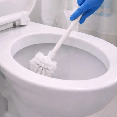 house cleaning Pittsburgh what include in bathroom Toilet cleaning with brush and gloves