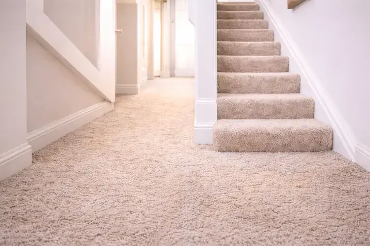 Hallways & Stairs - carpet cleaning by Sky Clean Service, Pittsburgh