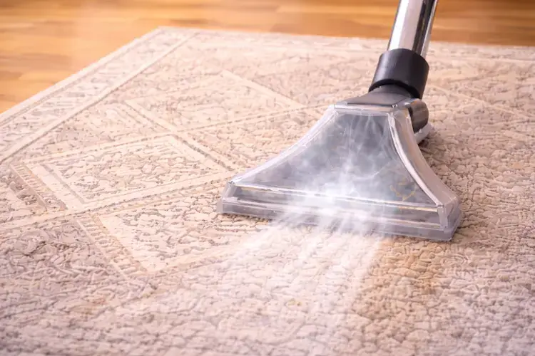 professional carpet steam cleaning service Pittsburgh