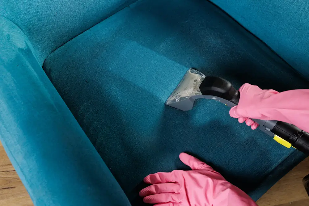 cleaning fabric sofa with professional equipment
